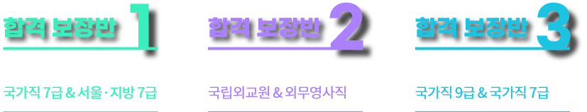 일행직, 국제직, 세무직 합격보장반
